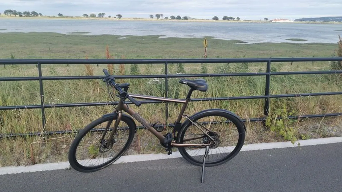 Premium BMC Alpenchallenge Two+ABUS XPlus Lock - Image 1