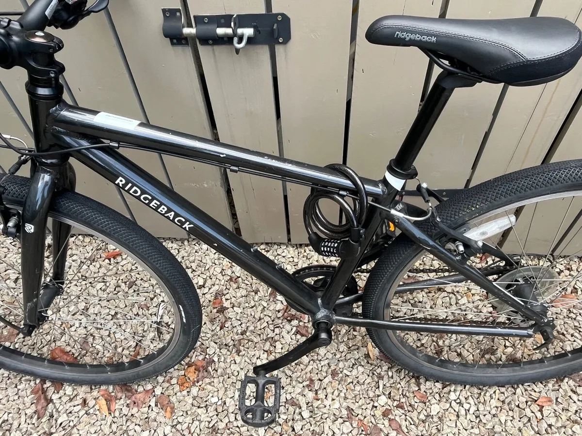 Ridgeback bike - Image 2