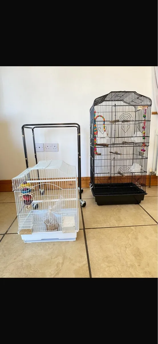 2 X BIRD CAGES - Image 1