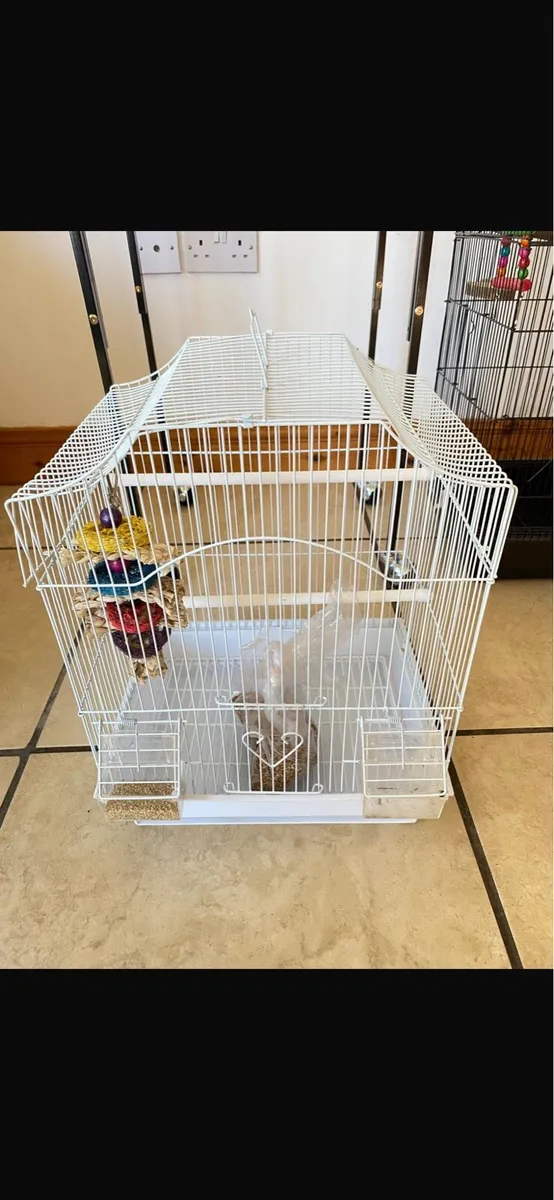 2 X BIRD CAGES - Image 2
