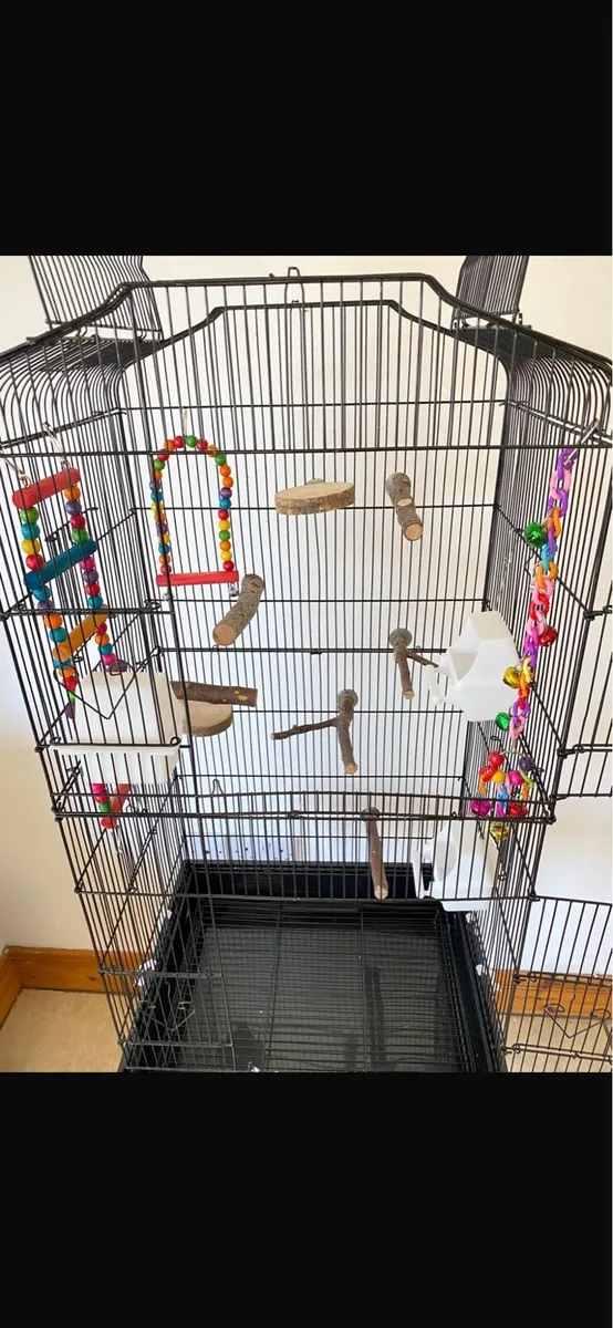2 X BIRD CAGES - Image 4