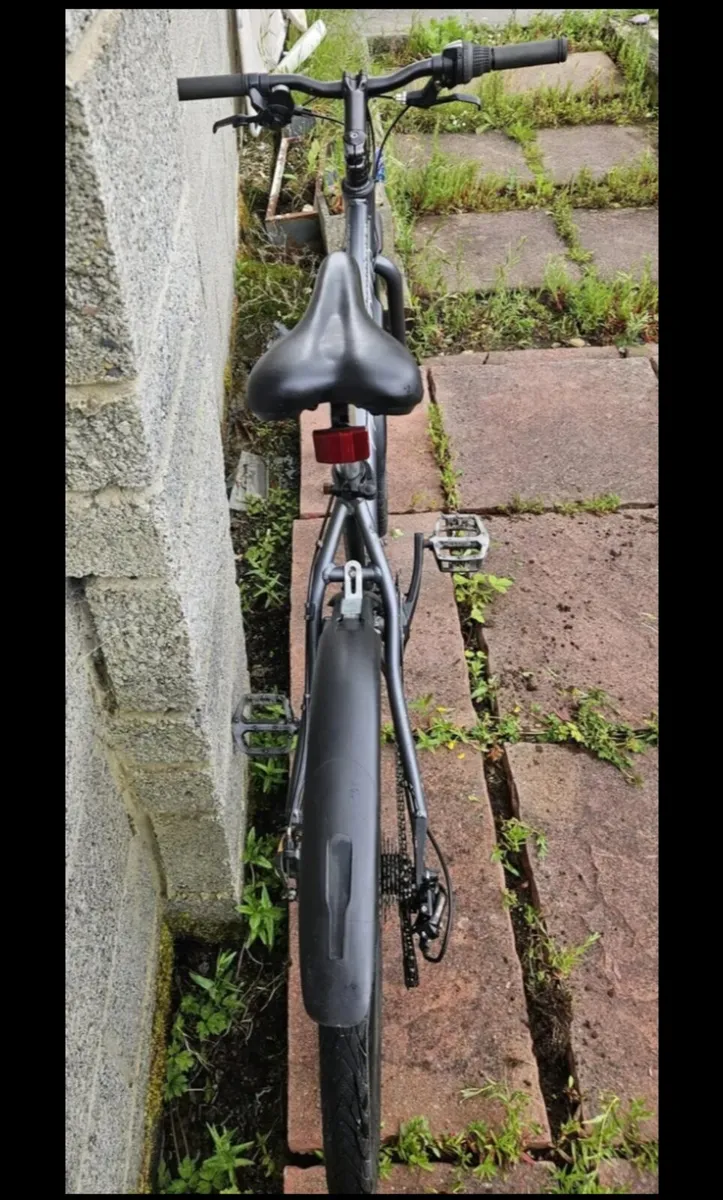 Carrera subway mountain bike - Image 4