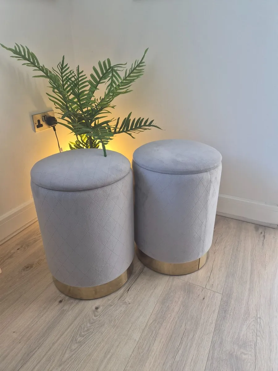 Pair of gorgeous storage stools - Image 1