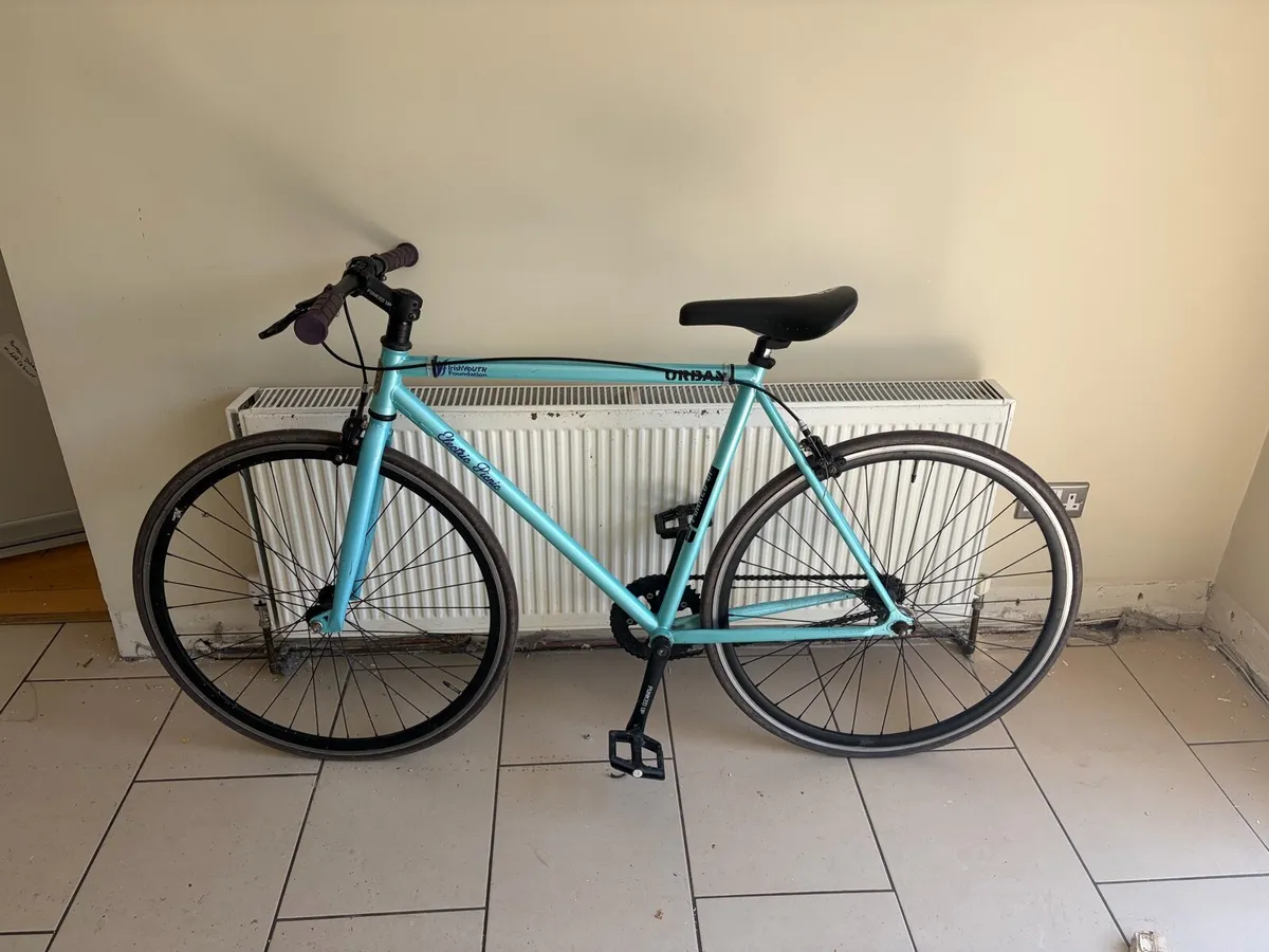 Funked up Fixie / Single Speed - Electric Picnic - Image 1