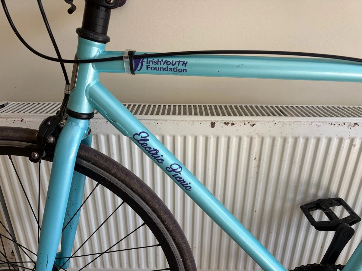 Funked up Fixie / Single Speed - Electric Picnic - Image 2