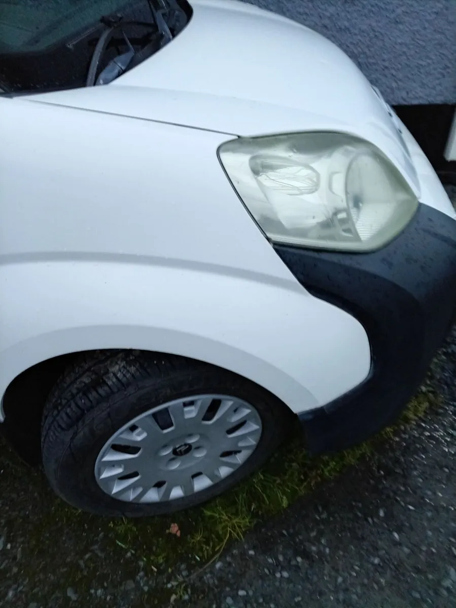 Citreon nemo - Image 2