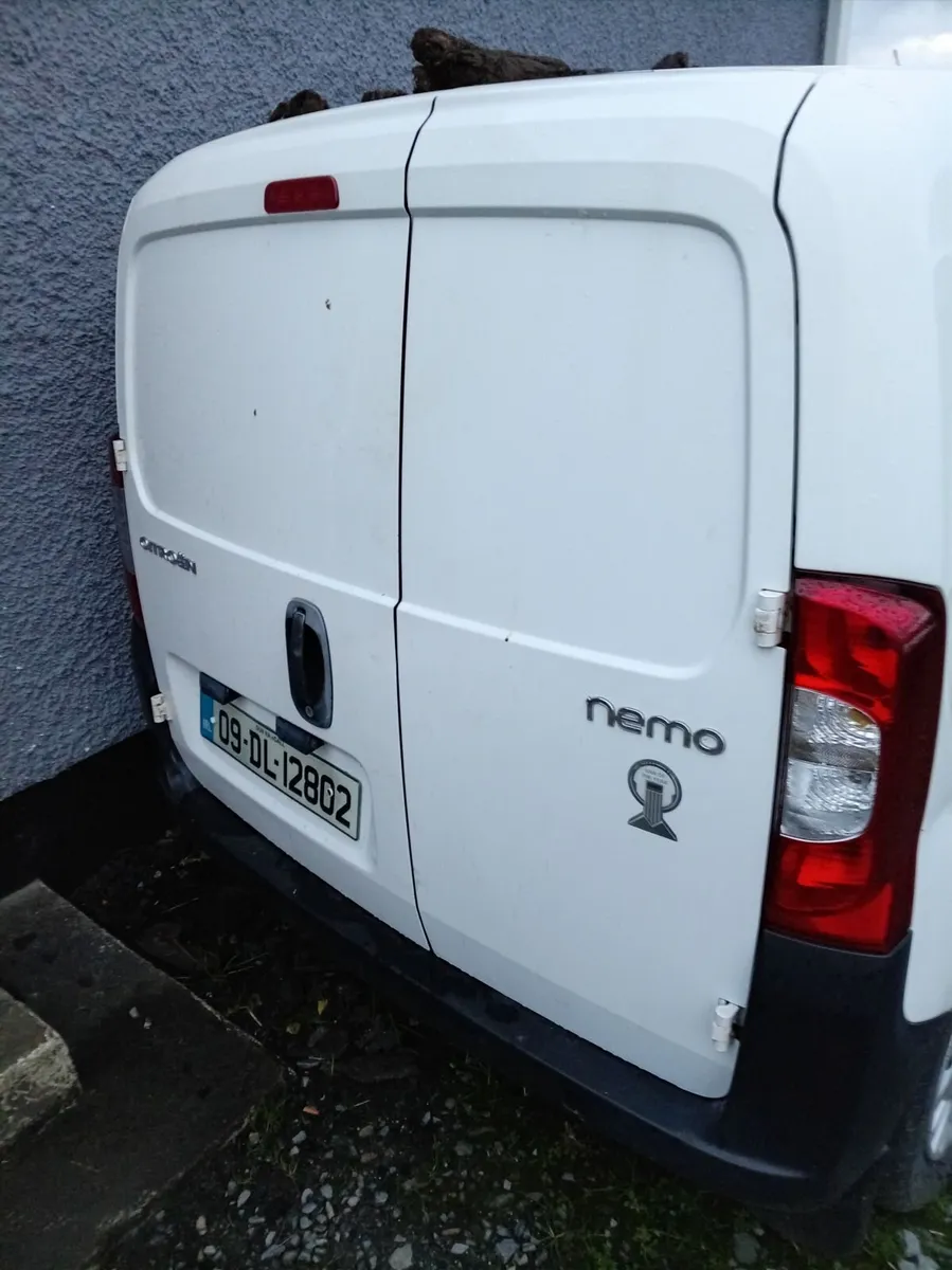 Citreon nemo - Image 3