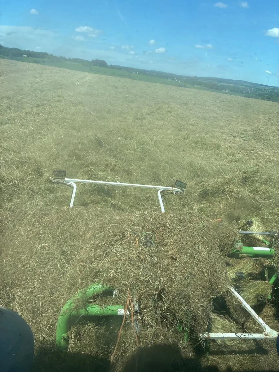 Hay