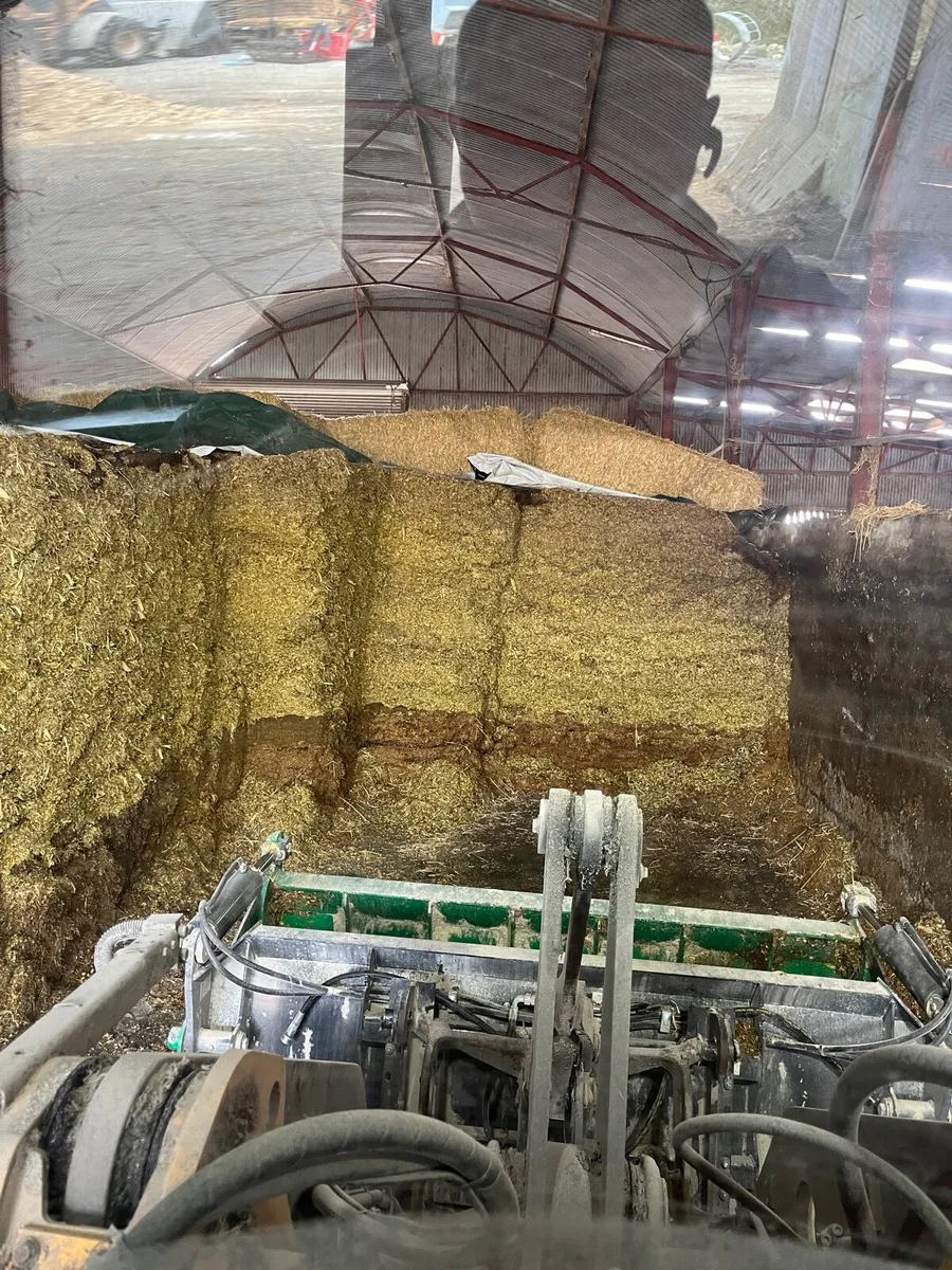 Straw, Silage, Maize and Beet - Image 4