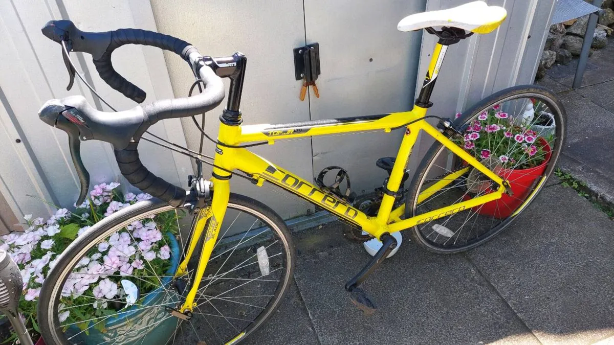 Carrera TDF LTD JR - Image 2