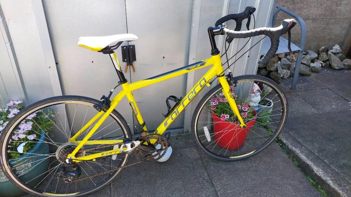 Carrera TDF LTD JR - Image 3