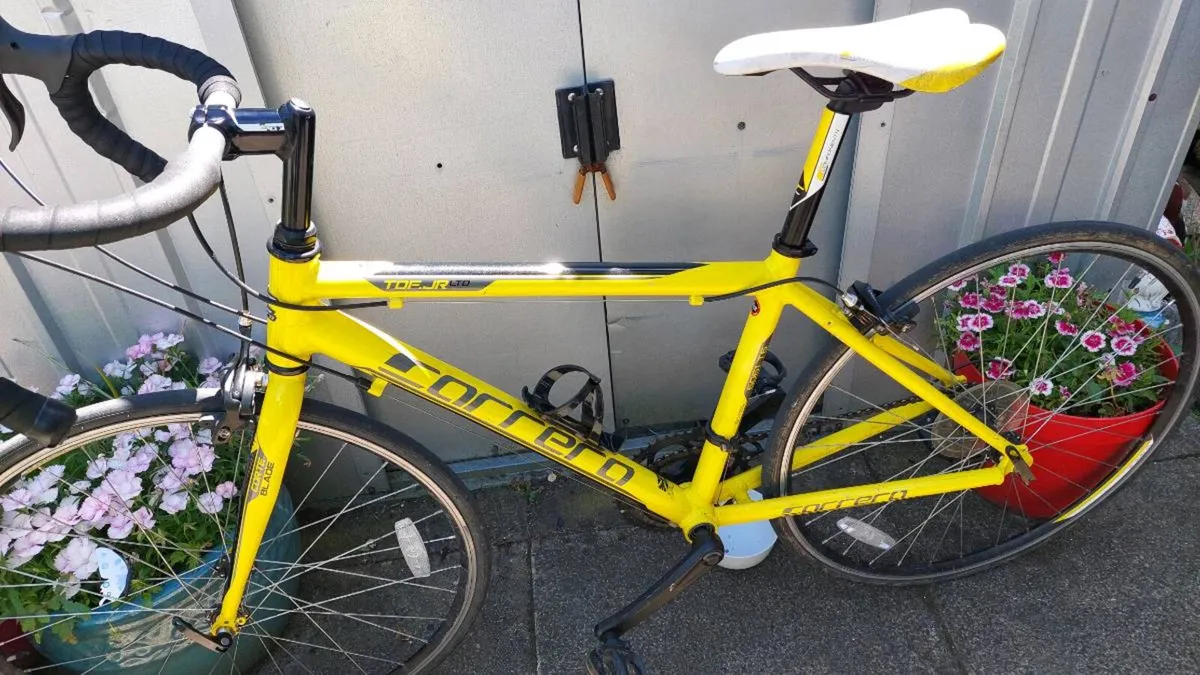 Carrera TDF LTD JR - Image 4
