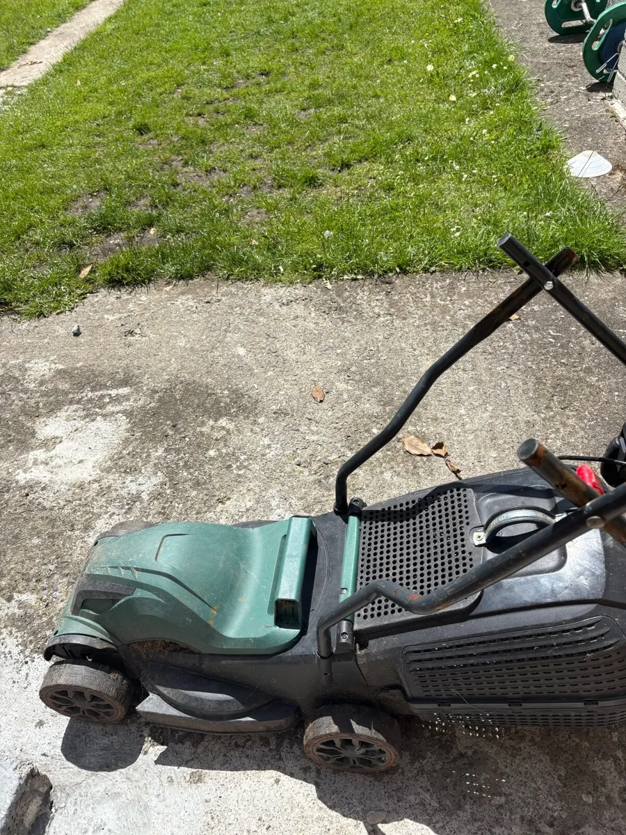 Grass cutting - Image 1