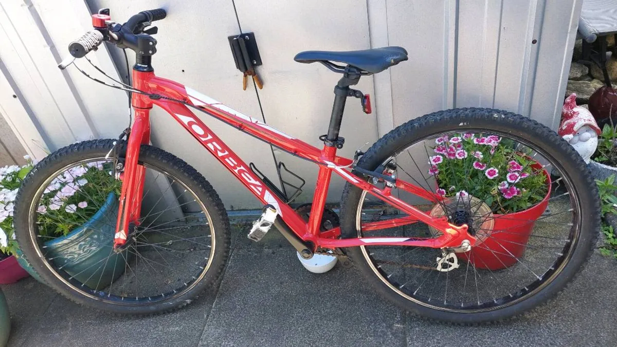 Selection of Kids and Teenagers Bikes from €100 - Image 2