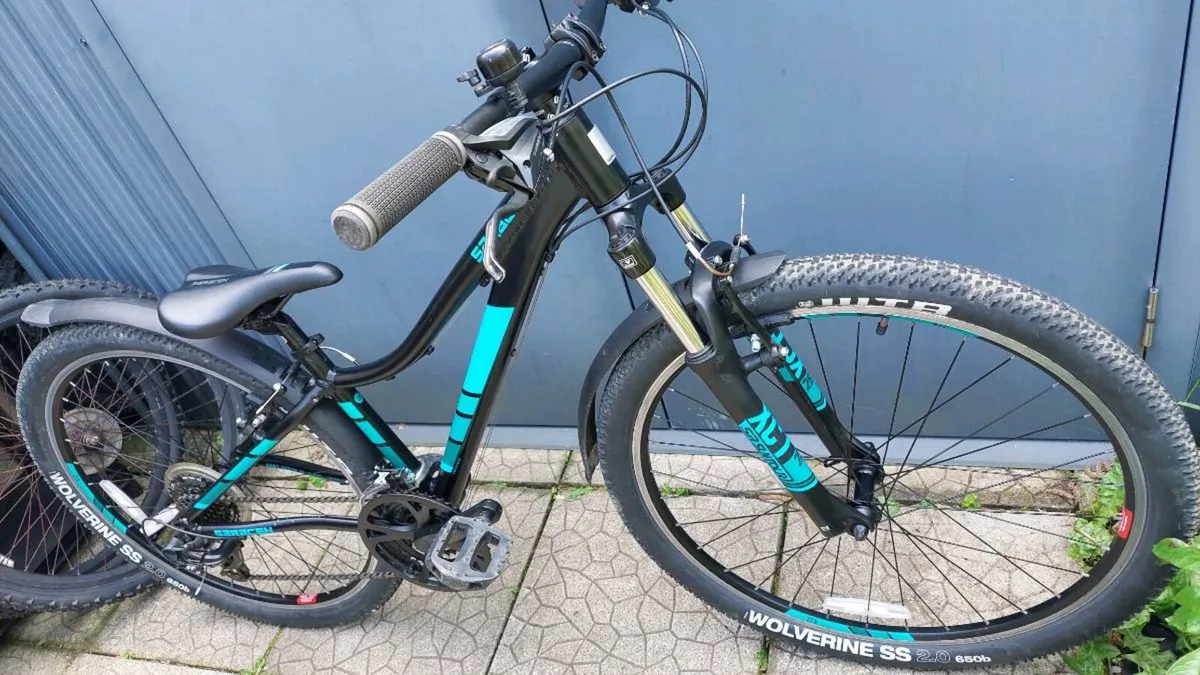 Selection of Kids and Teenagers Bikes from €100 - Image 1