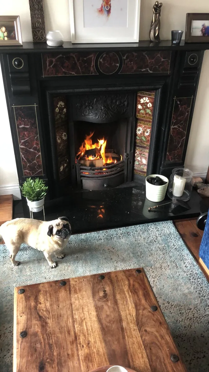 Antique Open Fire, Fireplace and Hearth - Image 4