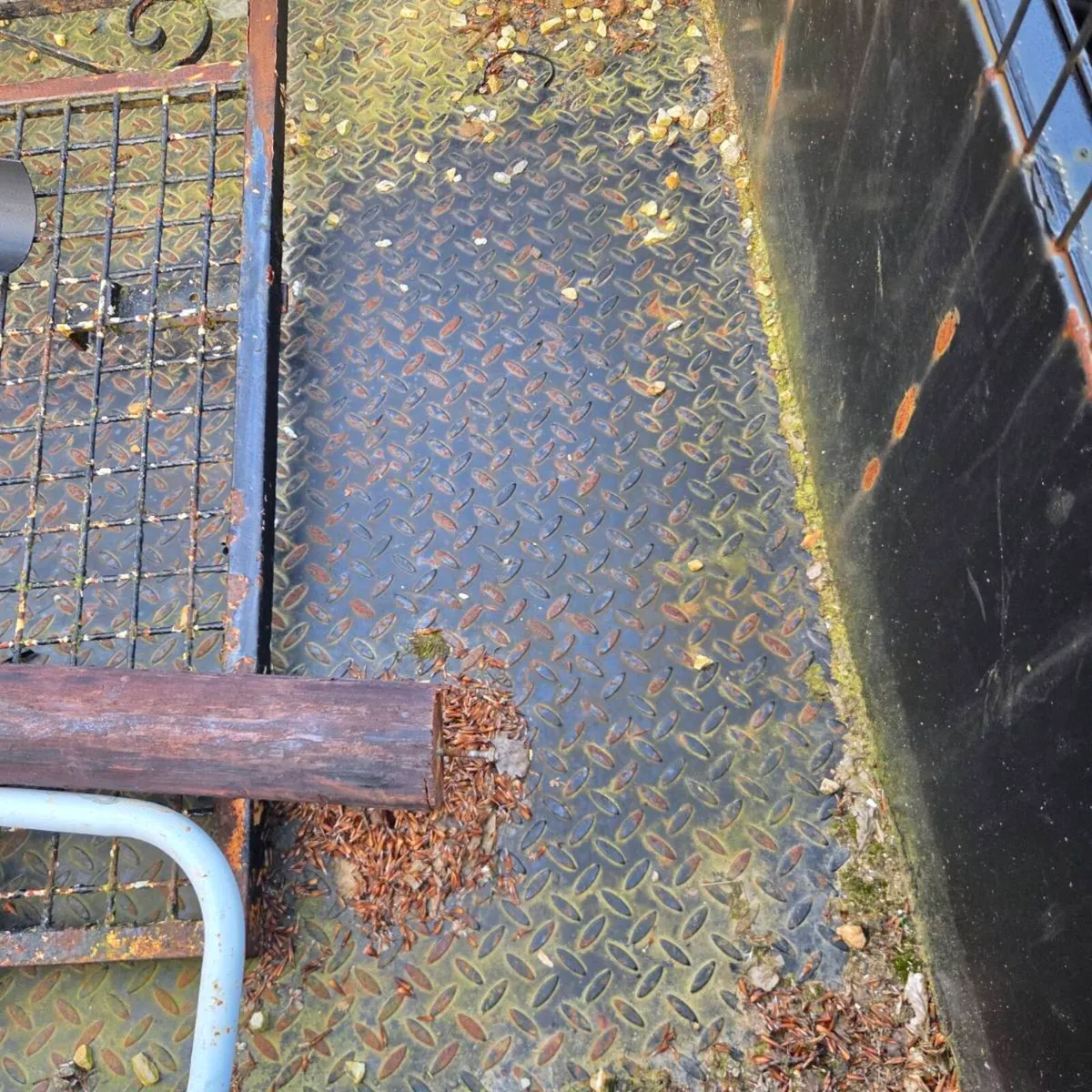 8x4 trailers for sale - Image 1