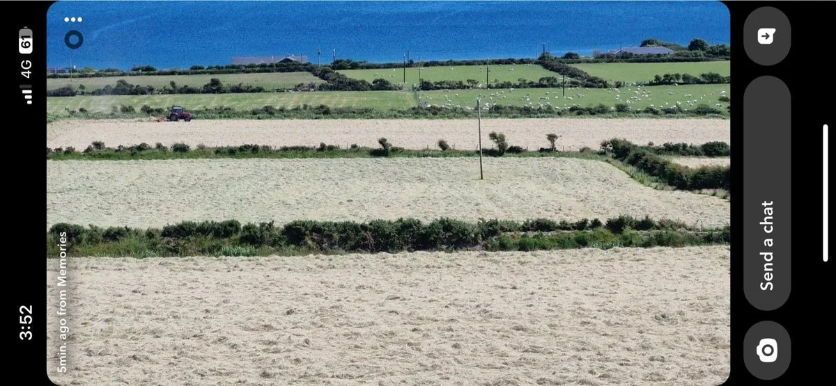 Square and round bales of hay for sale - Image 2