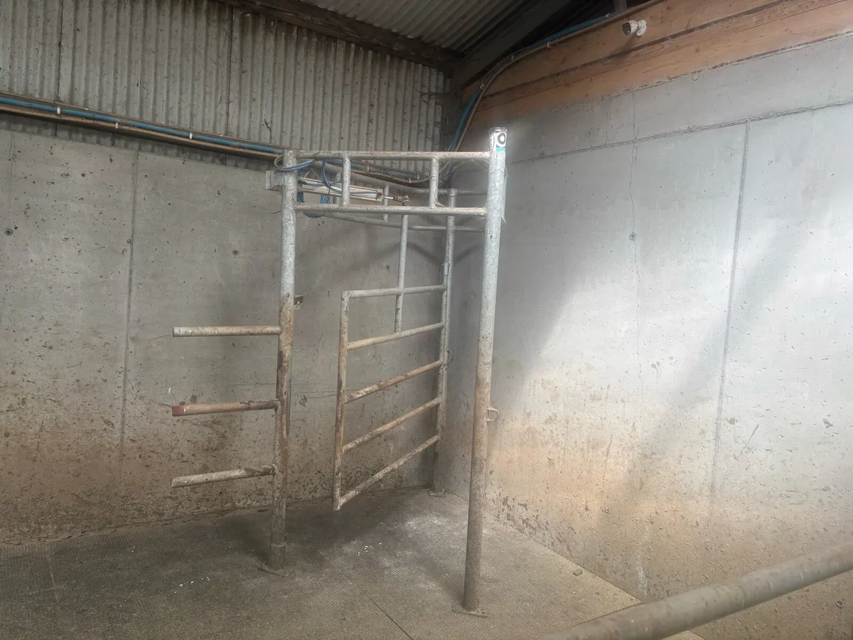 3 year old drafting gate - Image 2
