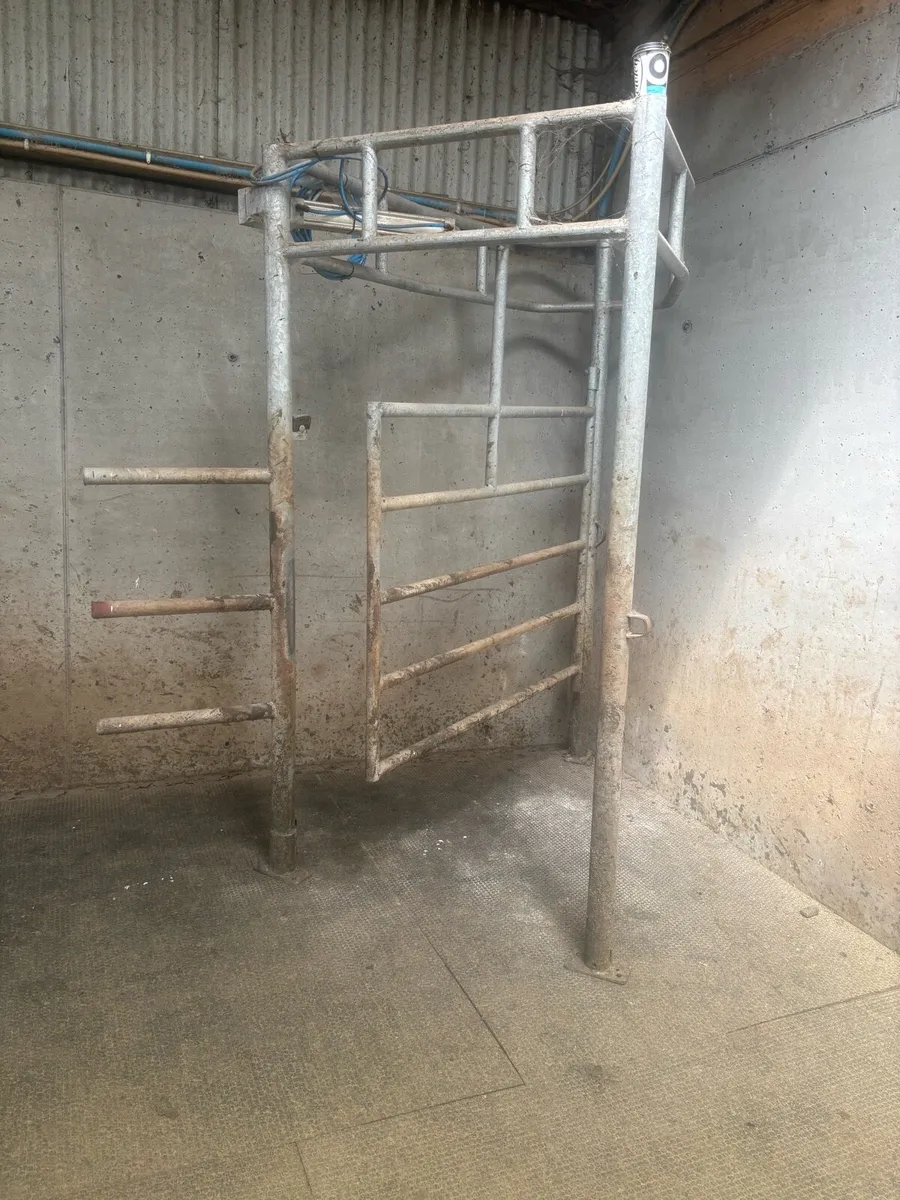 3 year old drafting gate - Image 3