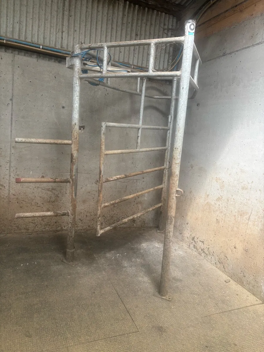 3 year old drafting gate - Image 4