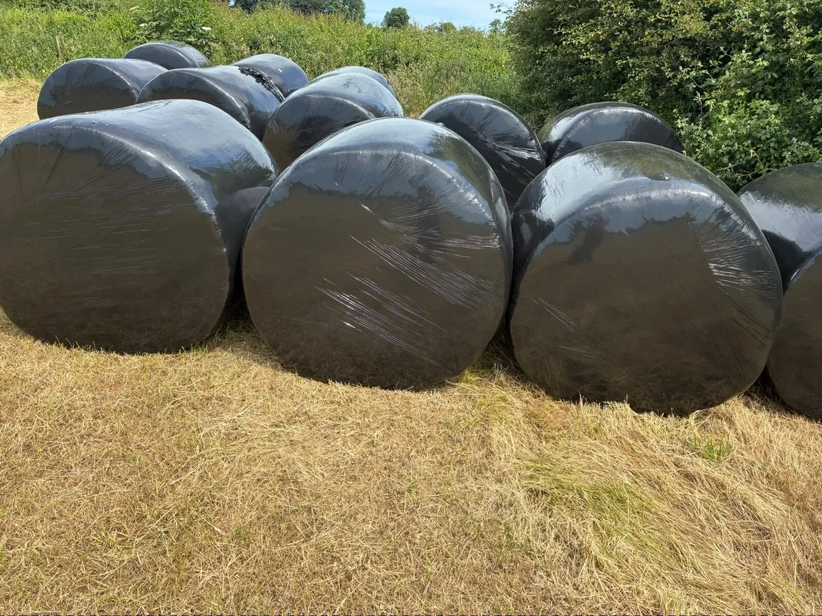 Silage Bales - Image 1
