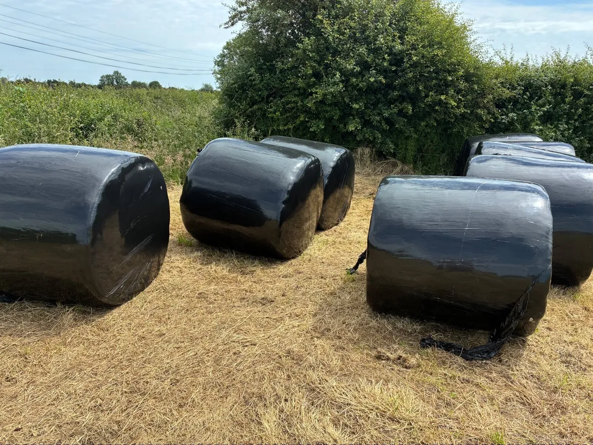 Silage Bales - Image 2