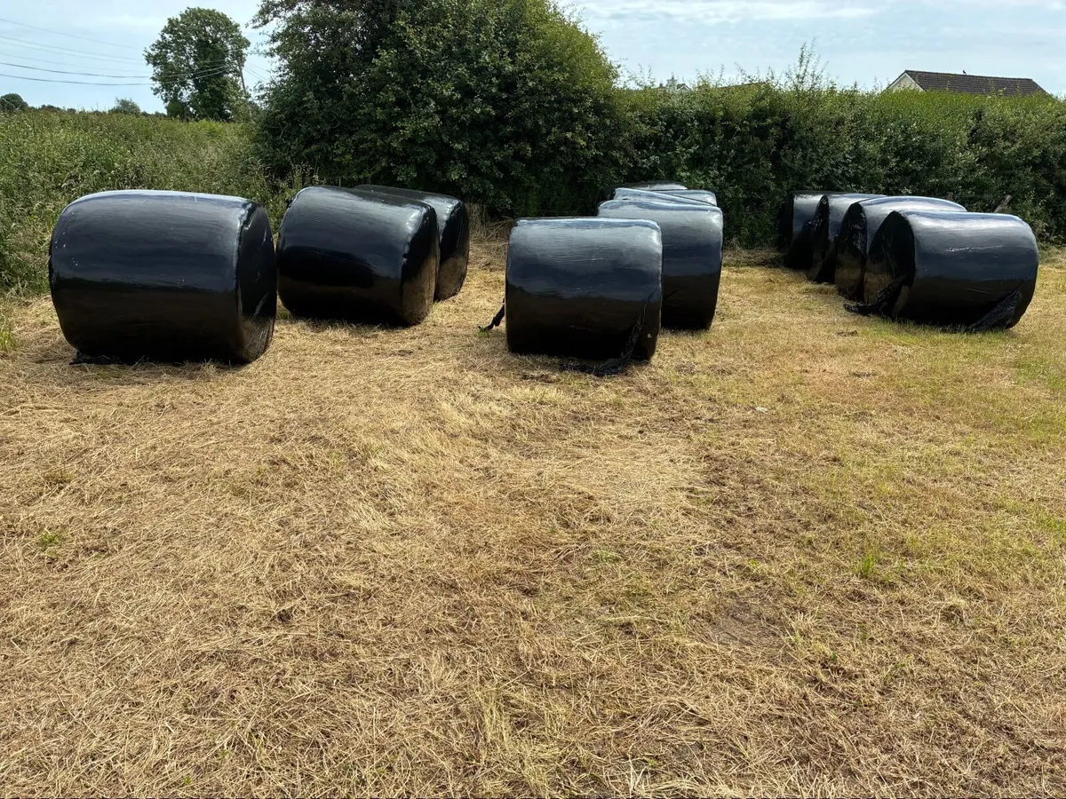 Silage Bales - Image 4