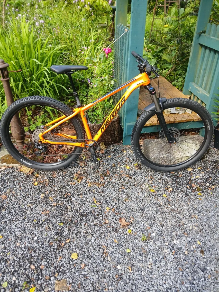 Trail Bike