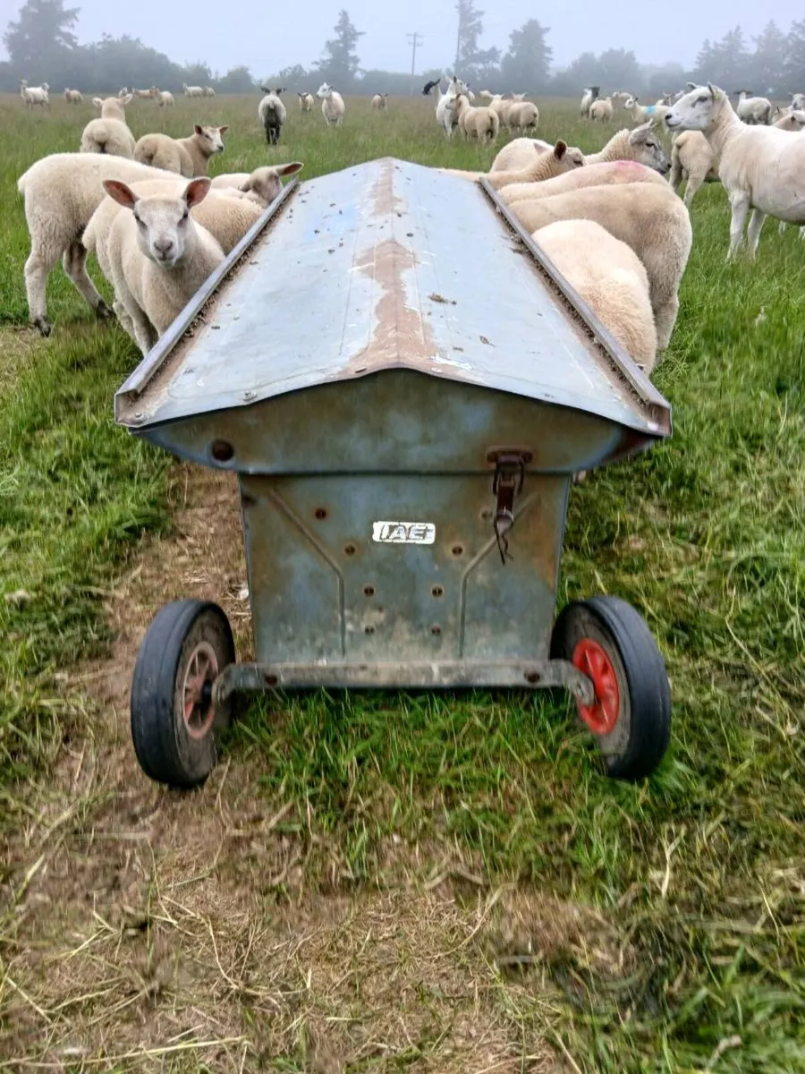 2 lamb creep feeders - Image 2