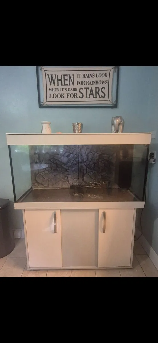 Fishtank - Image 1