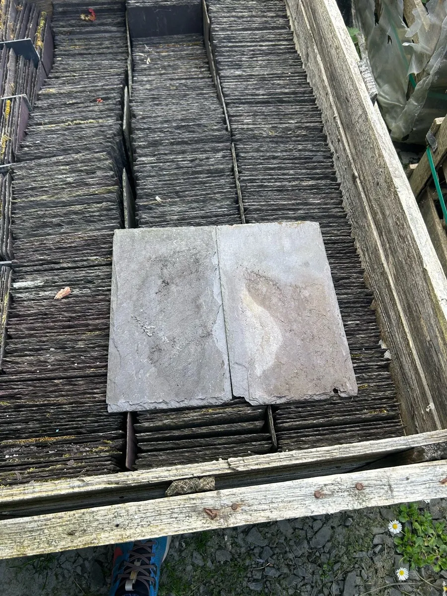 Blue Bangor slates - Image 1