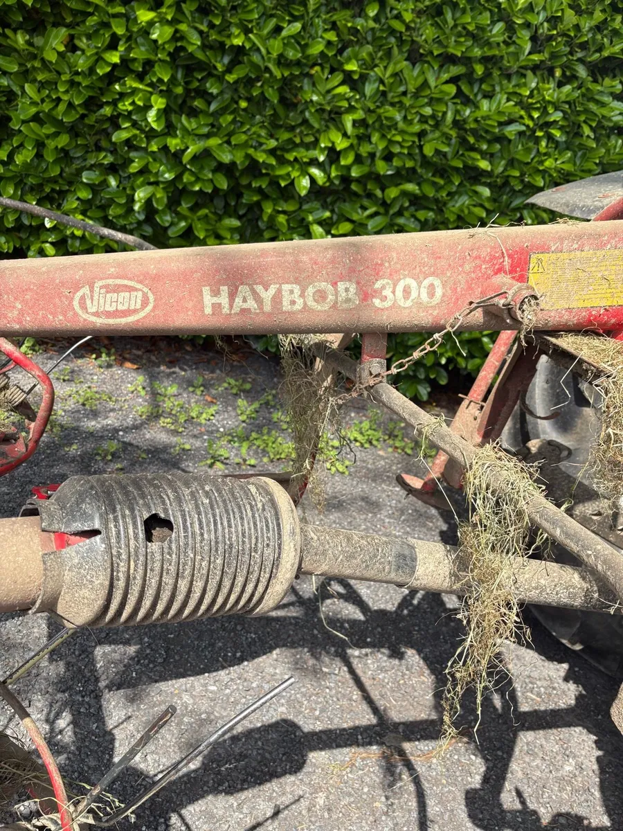Hay bob - Image 2