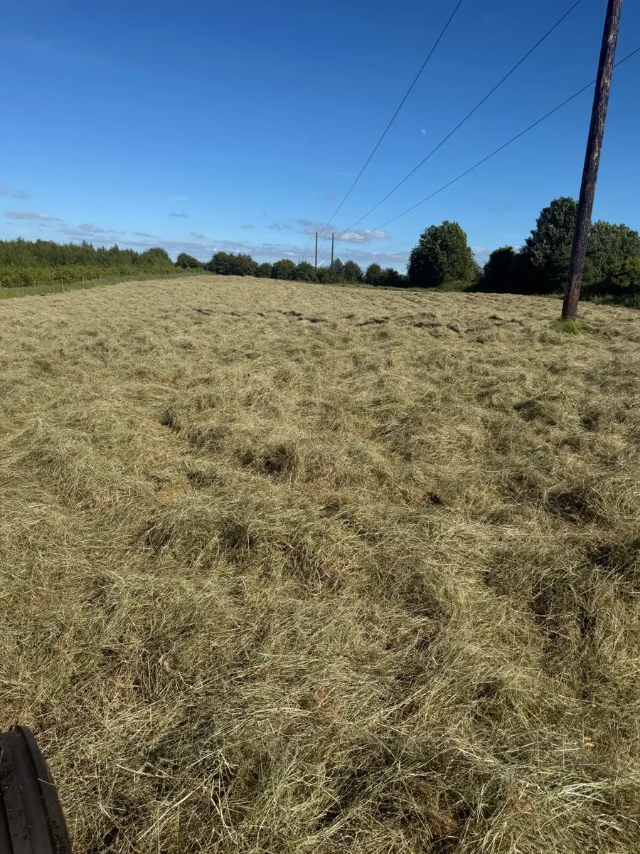 Fully organic Round and square hay bales - Image 2