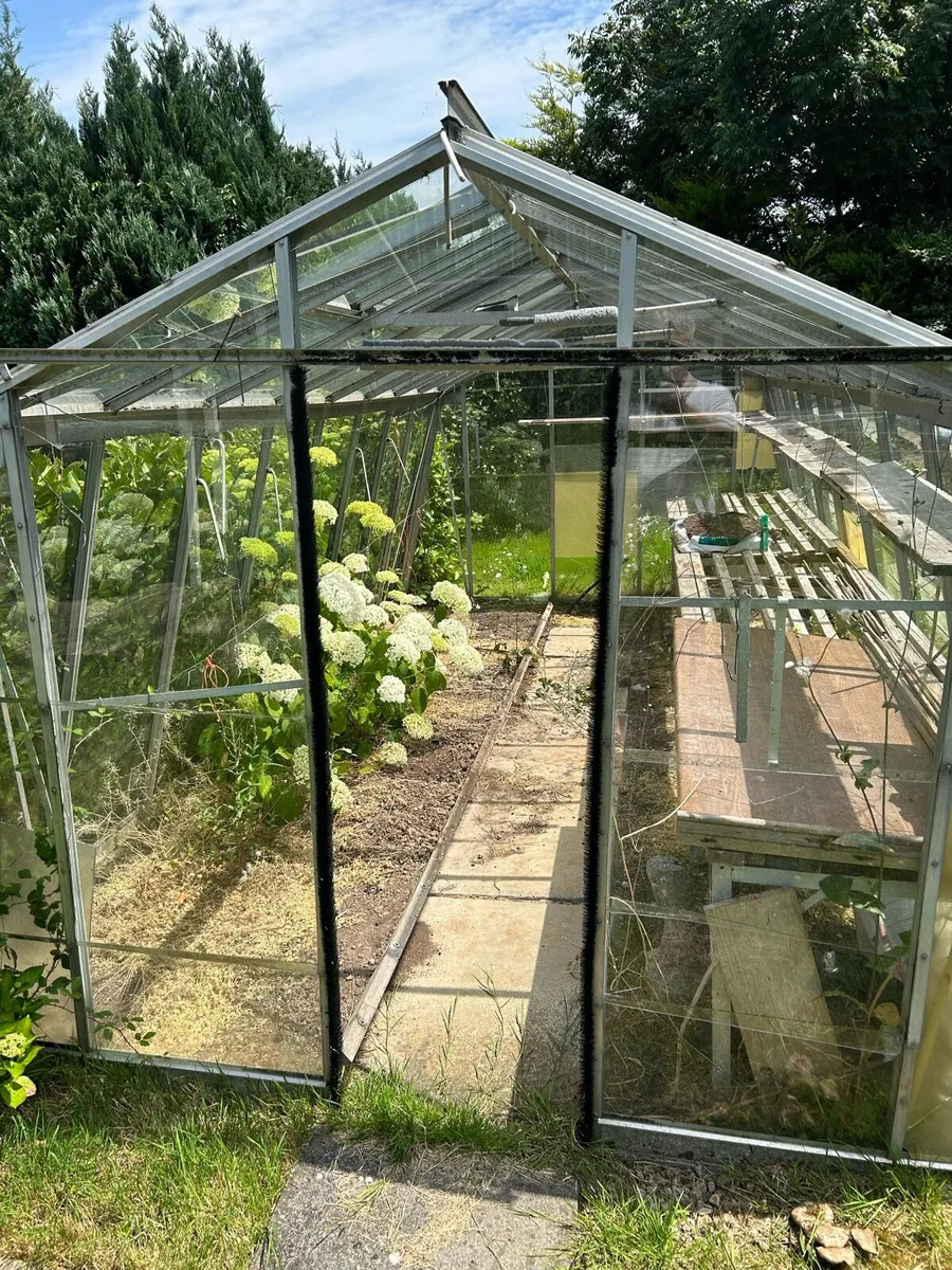 Glass green house - Image 1