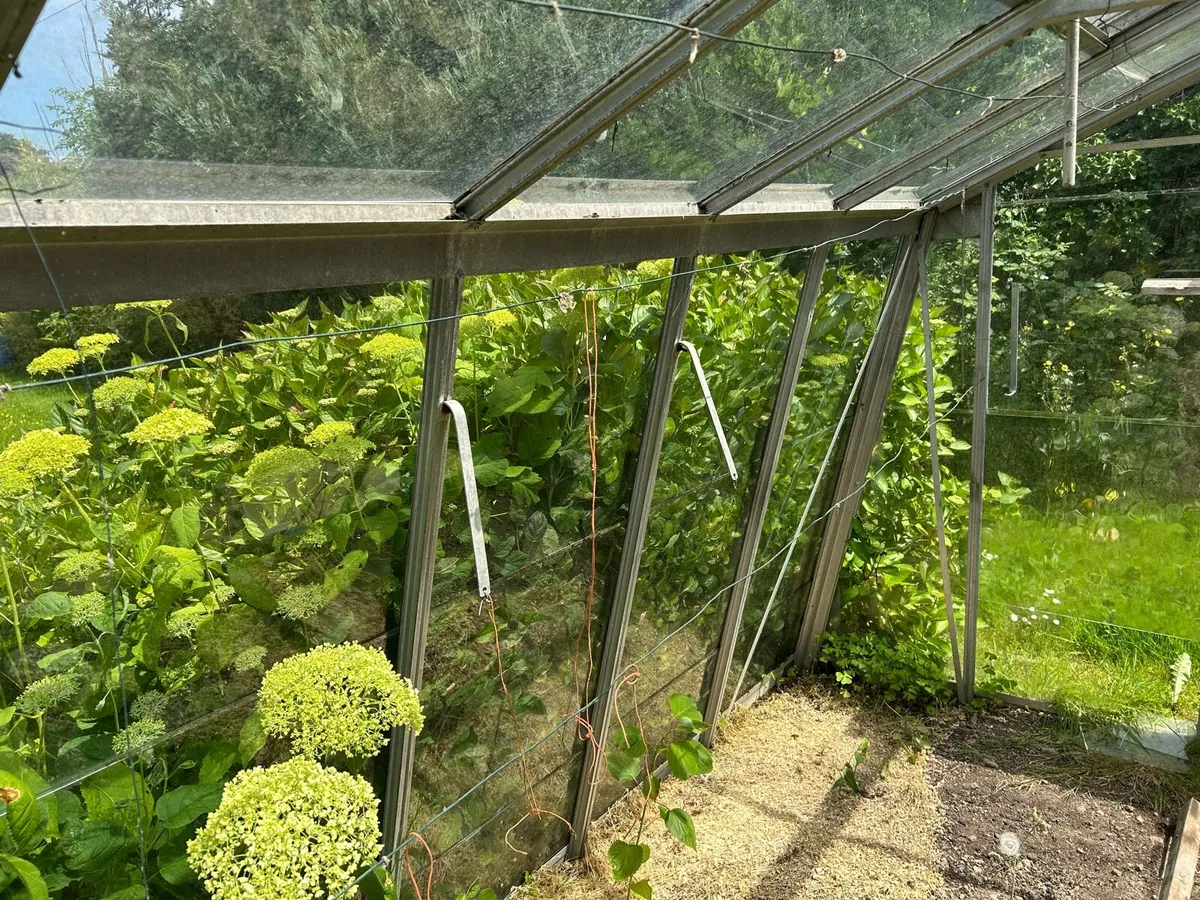 Glass green house - Image 2