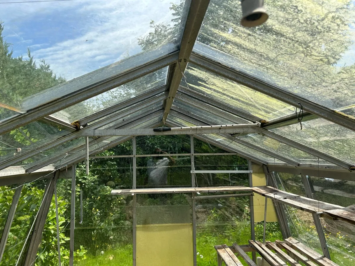 Glass green house - Image 3