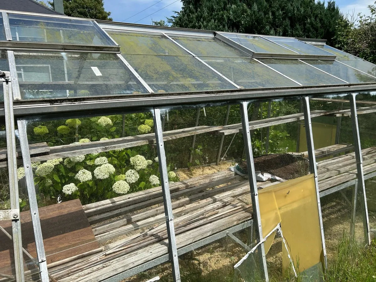 Glass green house - Image 4