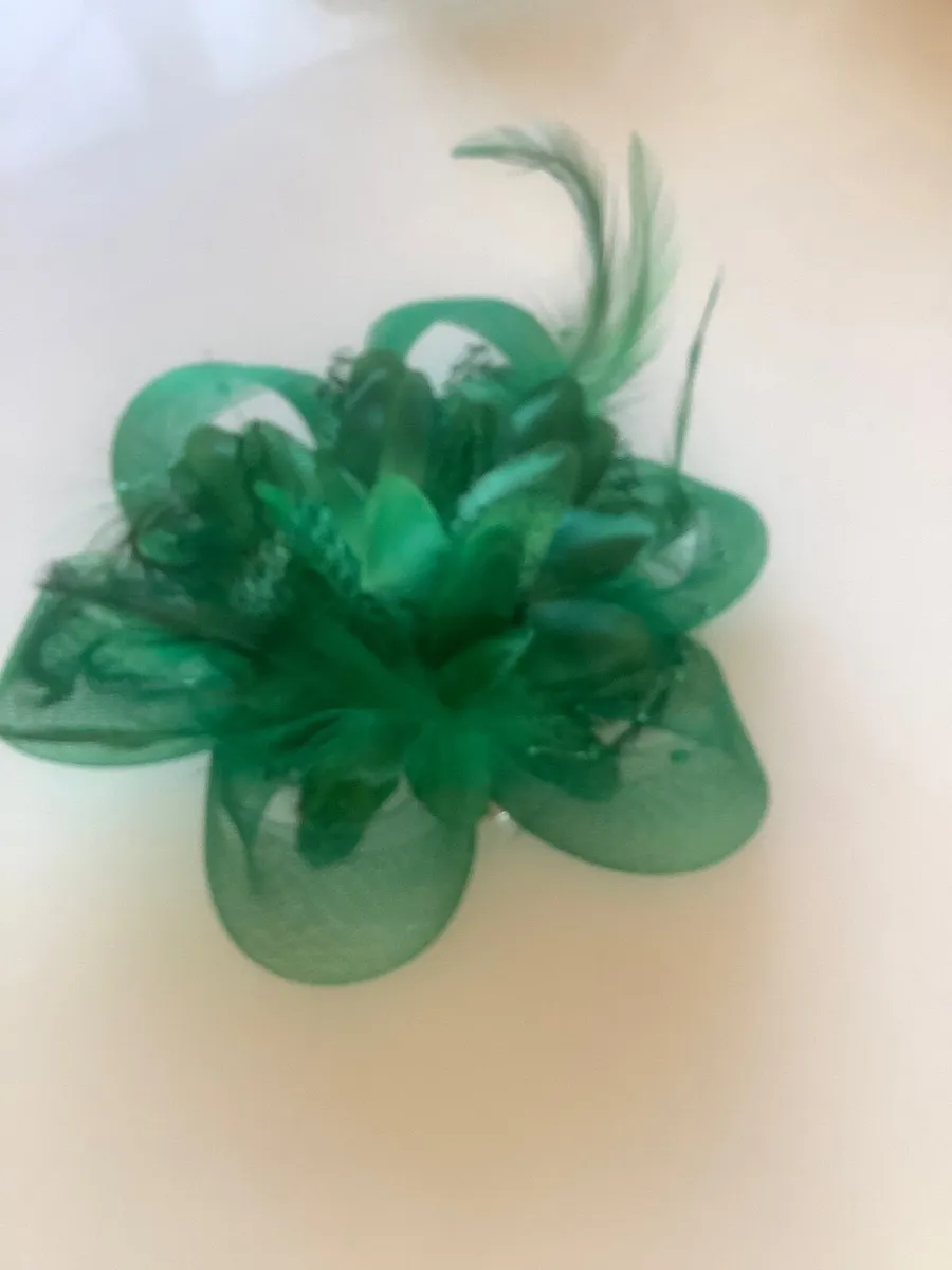 Hair fascinators.€10  Can post