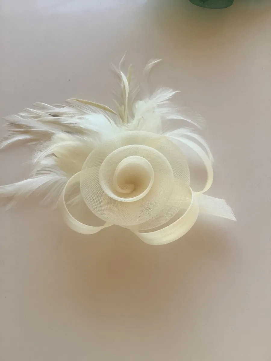 Hair fascinators.€10  Can post