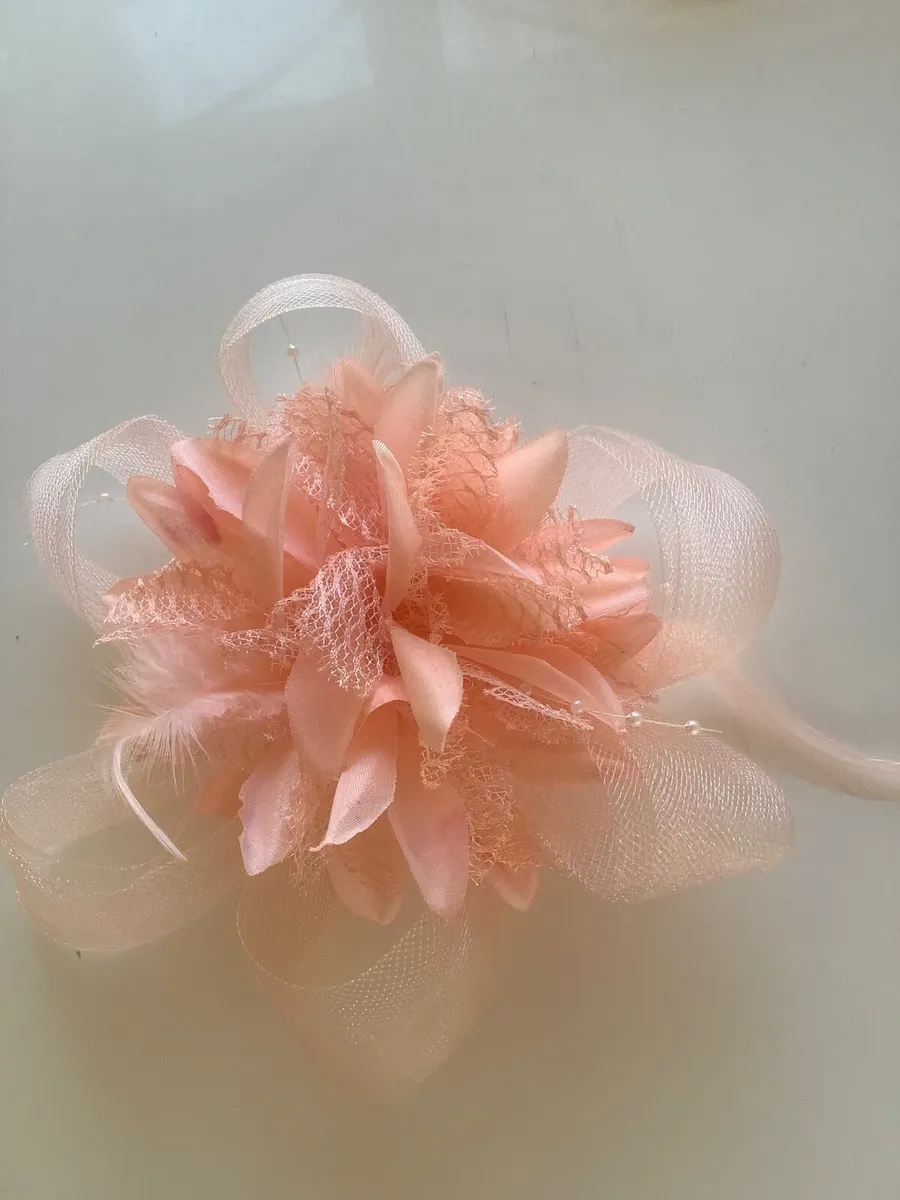 Hair fascinators.€10  Can post