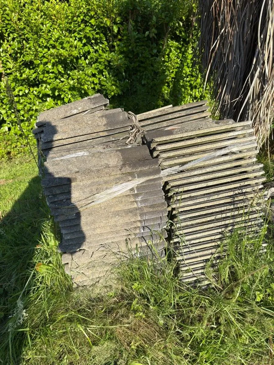 Roof Tiles - Image 1