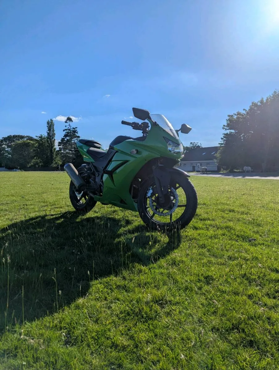 Kawasaki Ninja 250R - Image 4
