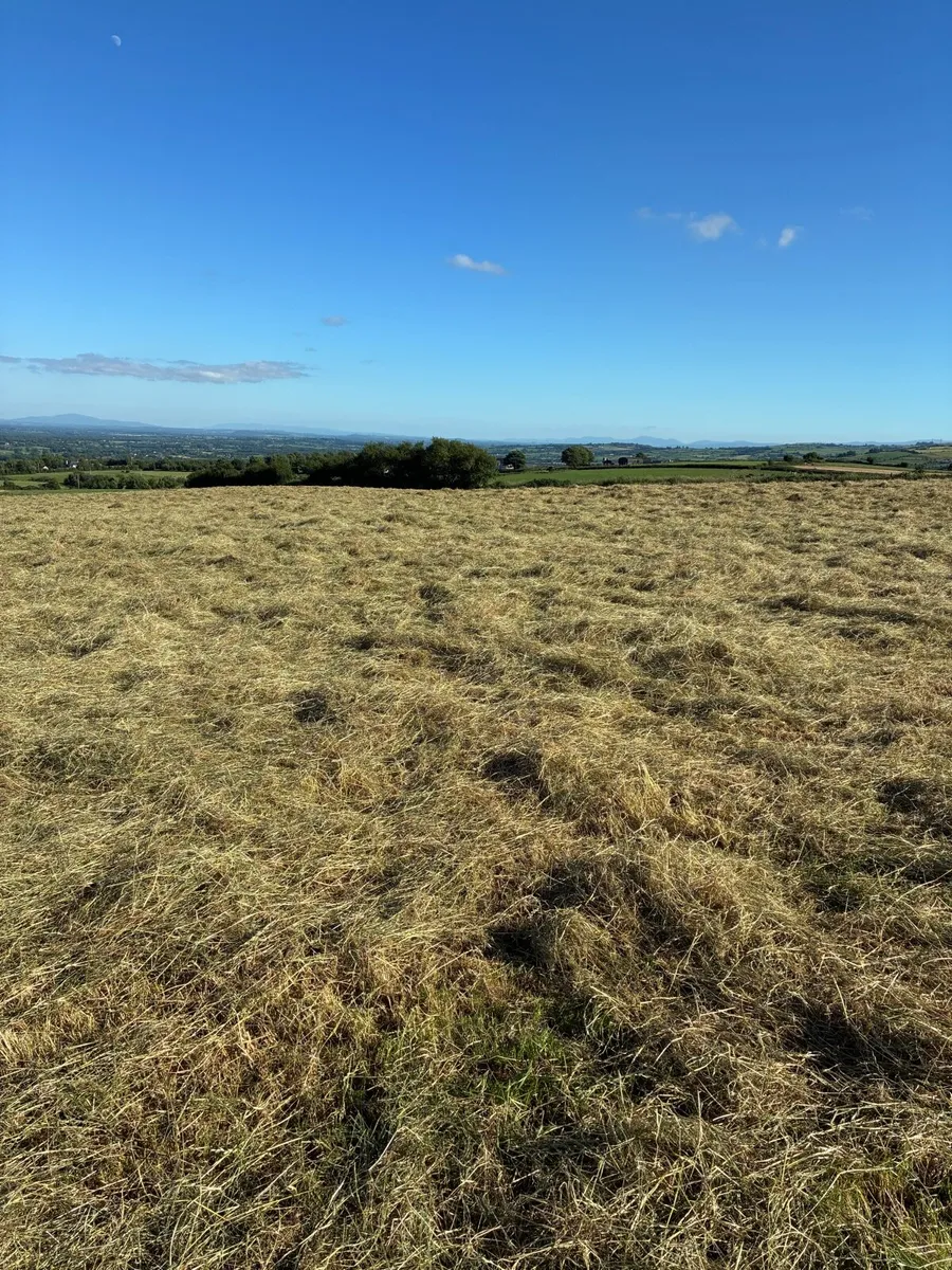 Square Bales