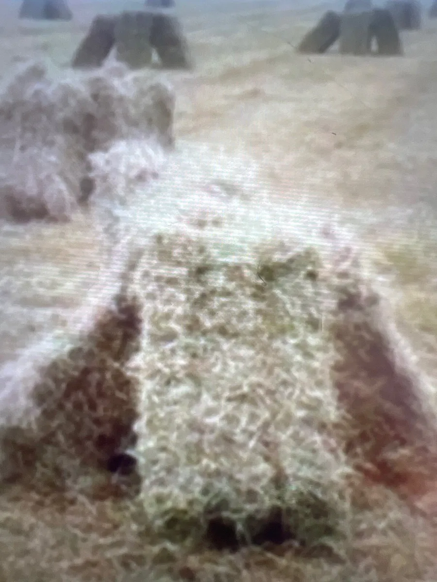 Hay for sale - Image 1