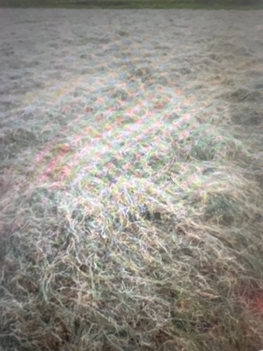 Hay for sale - Image 2