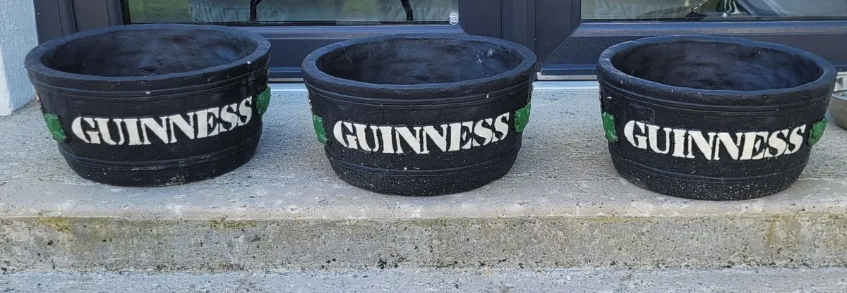 Guinness flower pots - Image 1
