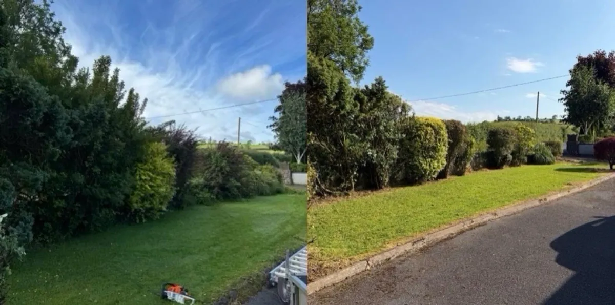 Gardening services - Image 1