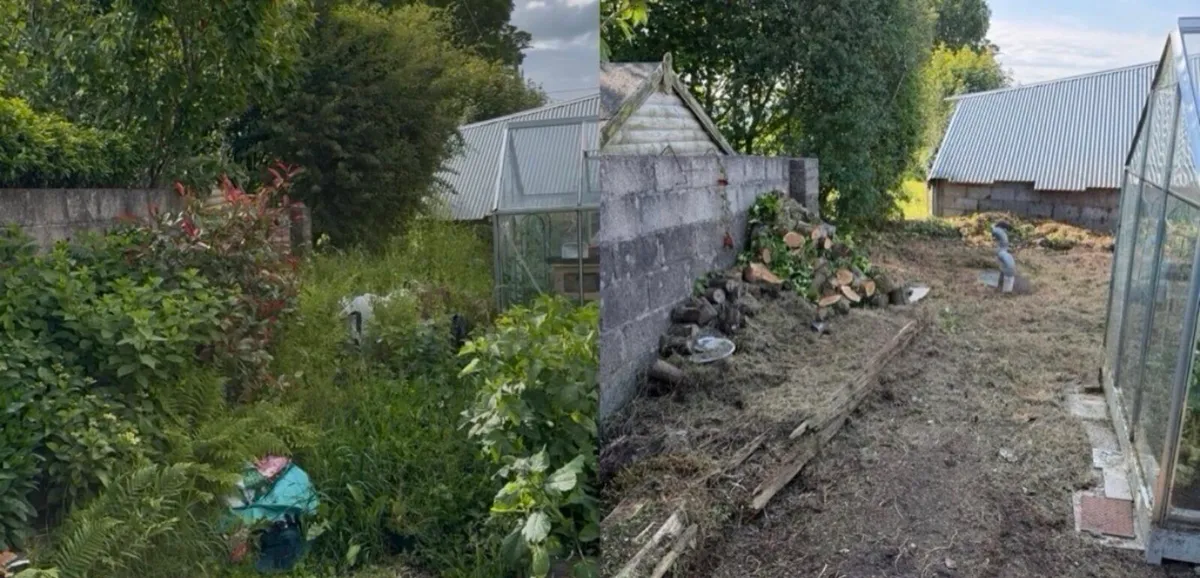 Gardening services - Image 2