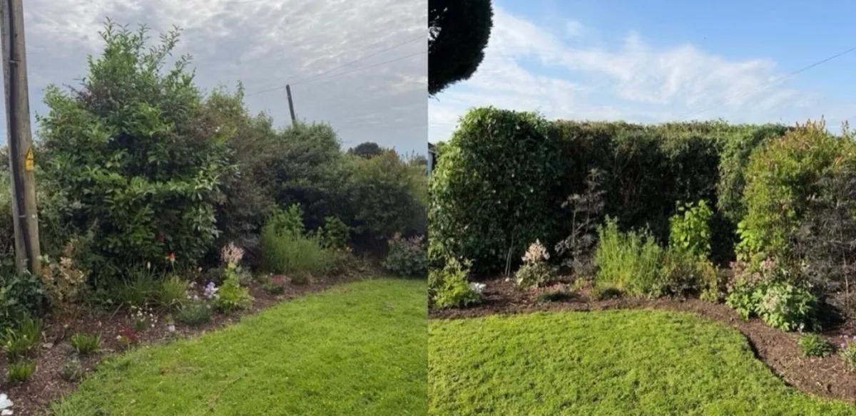 Gardening services - Image 3